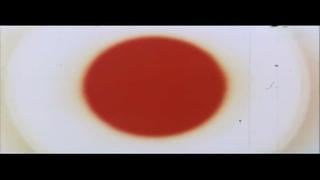 Девственница – жена / la moglie vergine (1975) | эротика