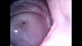 [porn] cam in mouth vagina and sex ass close up