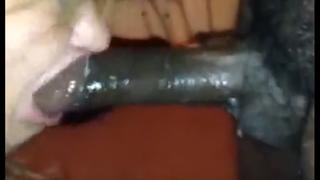 Порно бабуля без зубов сосет