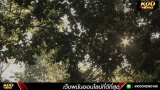 Thai 18+ เสน่ห์หญ้าอ่อน