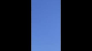 Zenci adam türk kadını sikiyor türk porno türk sex türk ifşa pornoları türk amatör sex turkish porn gizli çekim sex