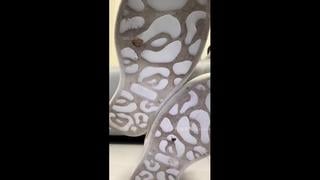 （系列完整版看简介）绘子 絵子 肉丝 白袜 丝袜套棉袜 小白鞋 运动鞋 羞辱 模拟鞋交 模拟足交 倒计时 早泄 挑战